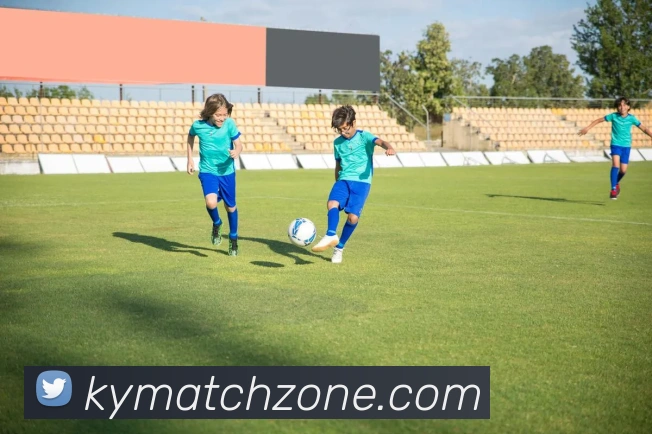 开云电竞APP 封面图