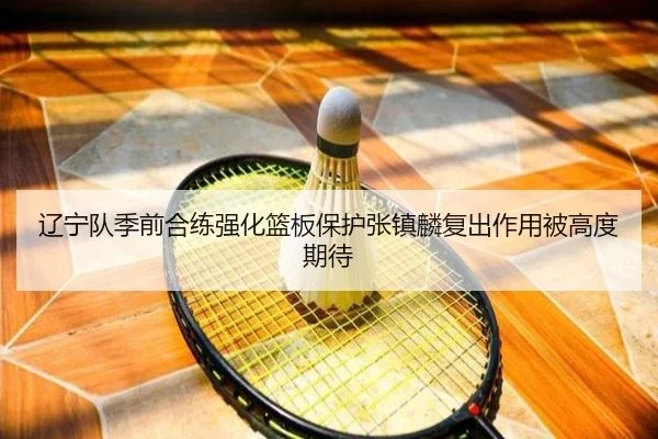 辽宁队季前合练强化篮板保护张镇麟复出作用被高度期待